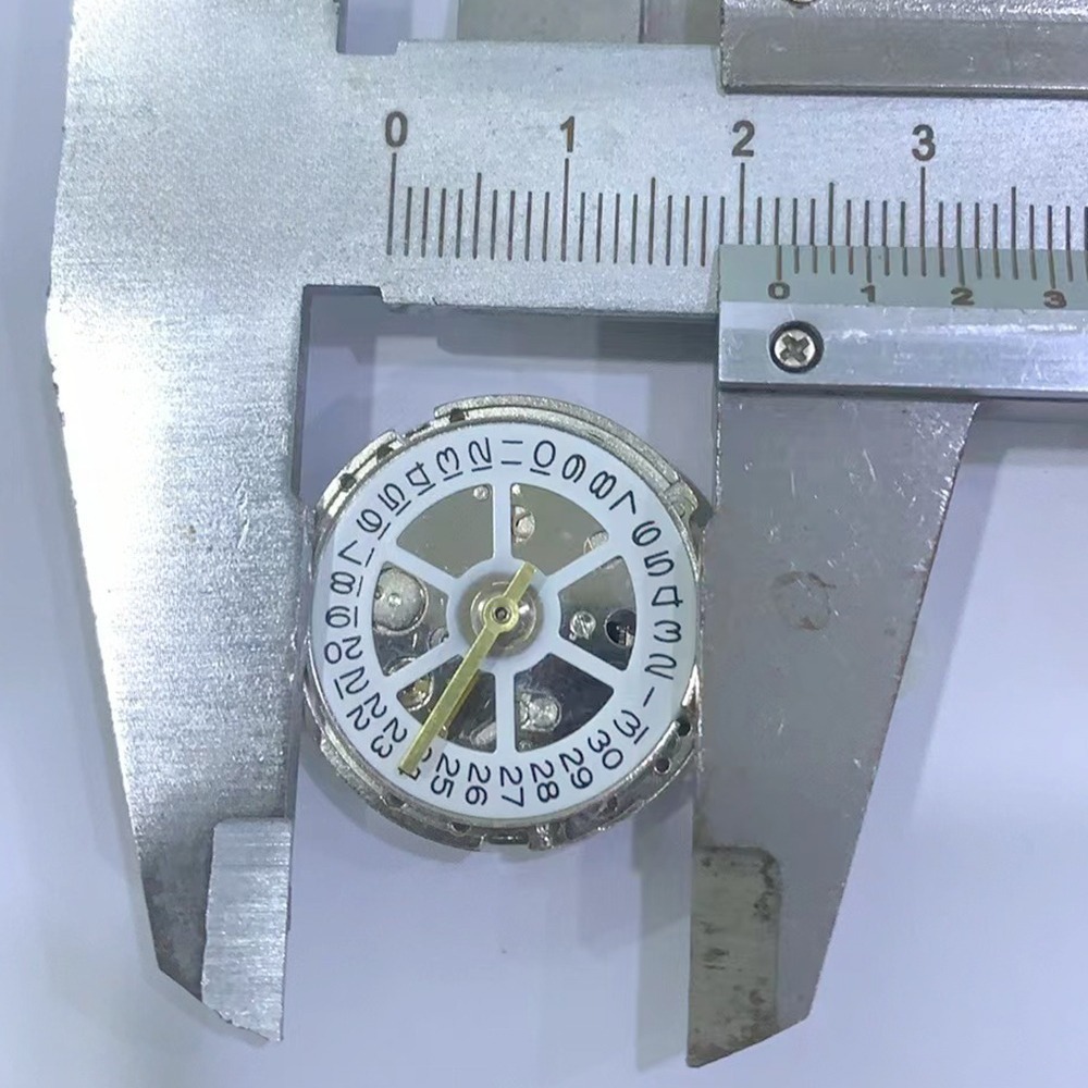 Automatic 8205 Movement Single - Perpetual Calendar Watch recension och pris